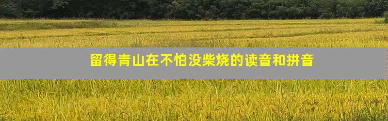 留得青山在不怕没柴烧的读音和拼音