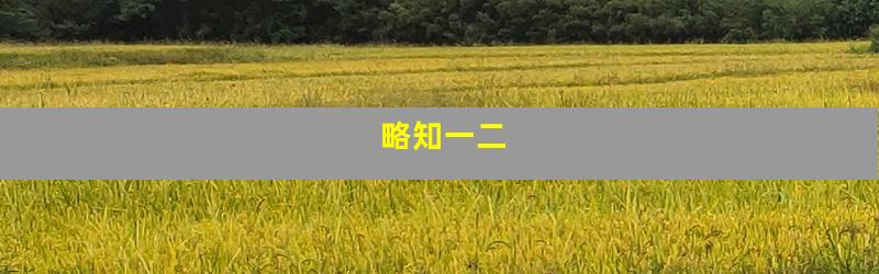 略知一二