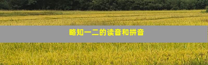 略知一二的读音和拼音