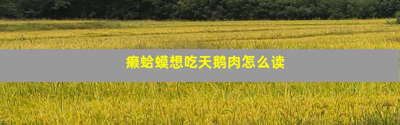 癞蛤蟆想吃天鹅肉怎么读