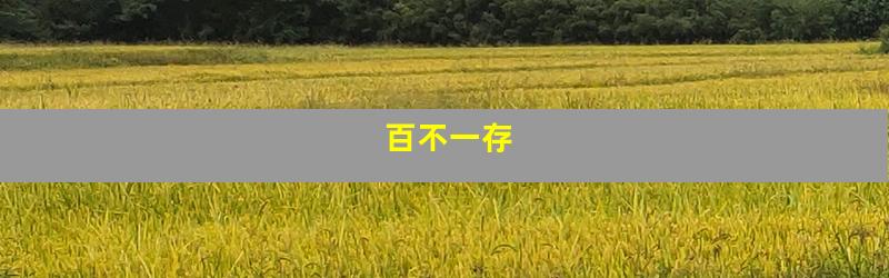 百不一存