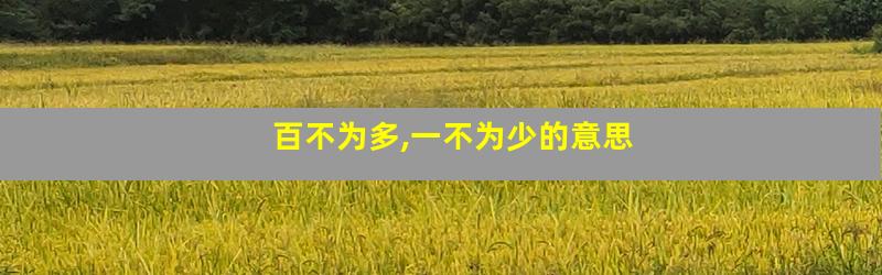 百不为多,一不为少的意思