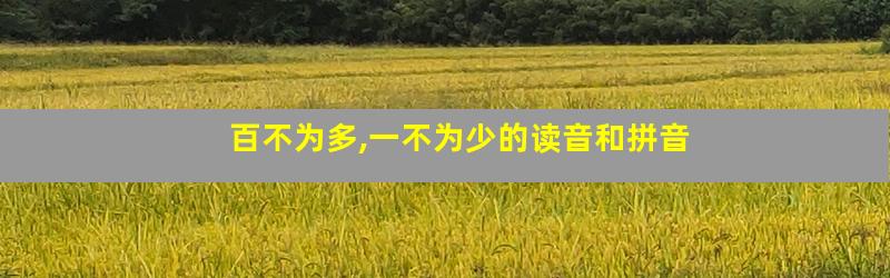 百不为多,一不为少的读音和拼音