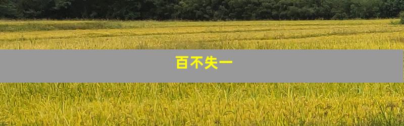 百不失一