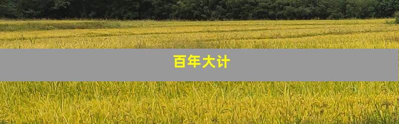 百年大计