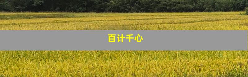 百计千心