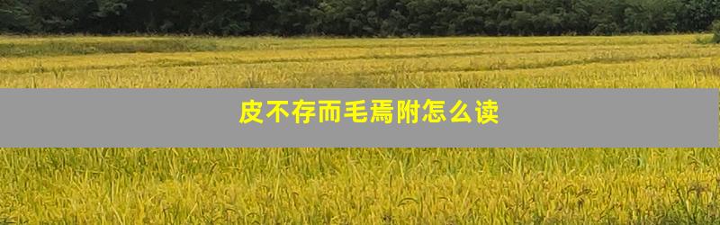 皮不存而毛焉附怎么读
