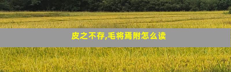 皮之不存,毛将焉附怎么读