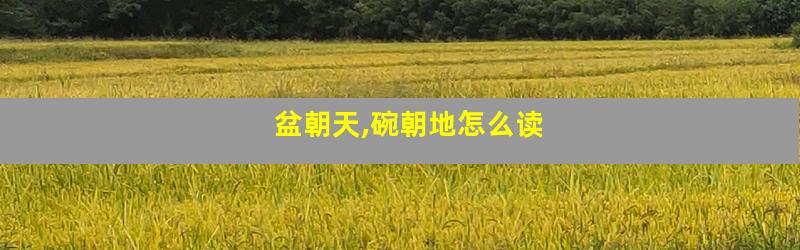 盆朝天,碗朝地怎么读