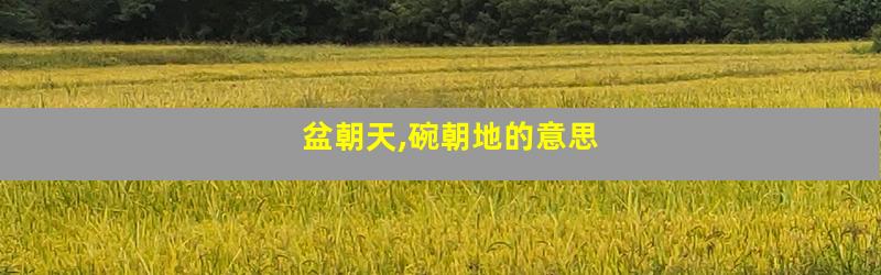 盆朝天,碗朝地的意思