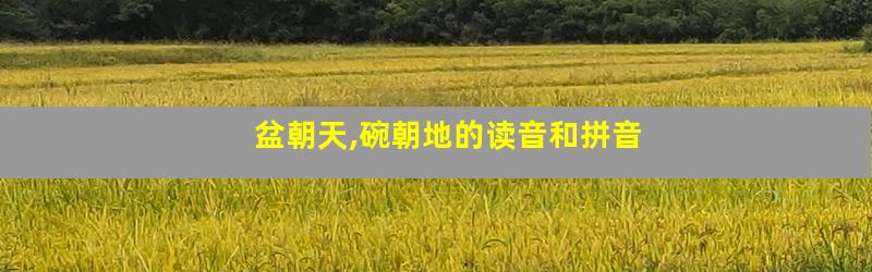 盆朝天,碗朝地的读音和拼音