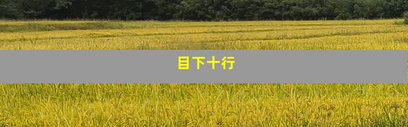 目下十行