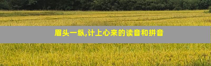眉头一纵,计上心来的读音和拼音