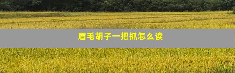 眉毛胡子一把抓怎么读