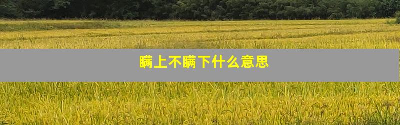 瞒上不瞒下什么意思