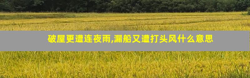 破屋更遭连夜雨,漏船又遭打头风什么意思