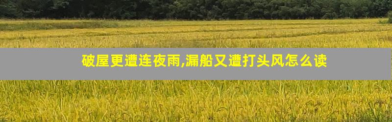 破屋更遭连夜雨,漏船又遭打头风怎么读