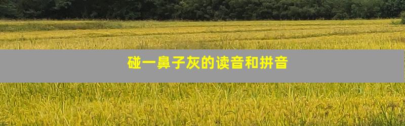 碰一鼻子灰的读音和拼音