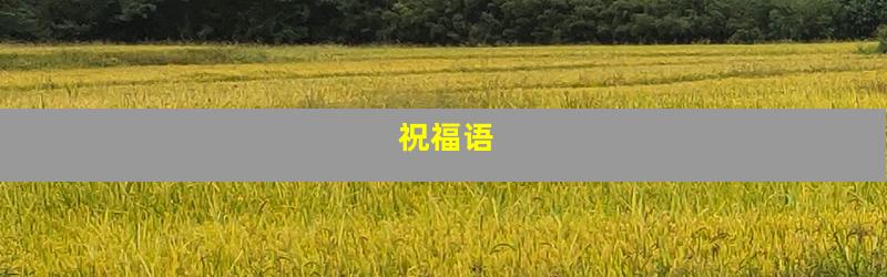 祝福语