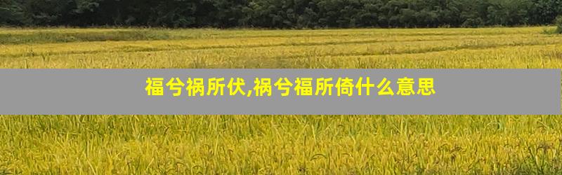 福兮祸所伏,祸兮福所倚什么意思