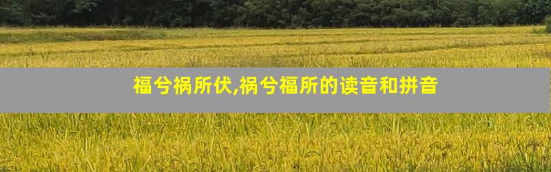 福兮祸所伏,祸兮福所的读音和拼音
