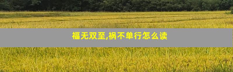 福无双至,祸不单行怎么读