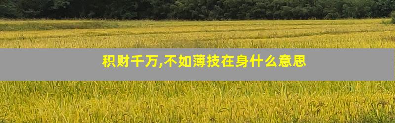 积财千万,不如薄技在身什么意思