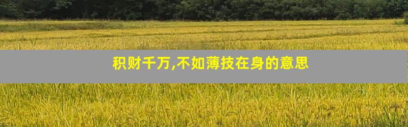 积财千万,不如薄技在身的意思