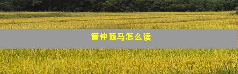 管仲随马怎么读