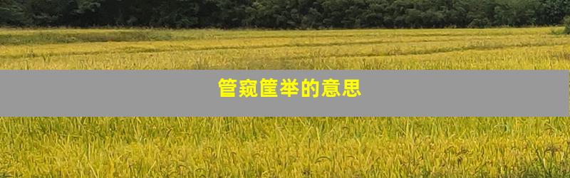 管窥筐举的意思
