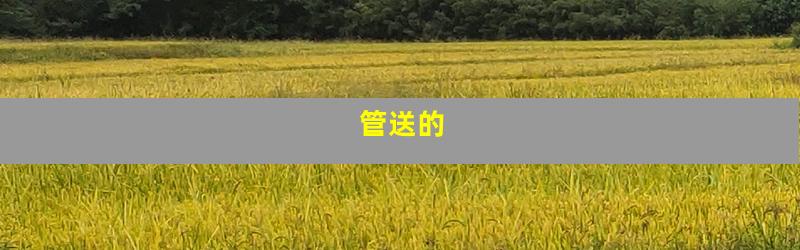 管送的