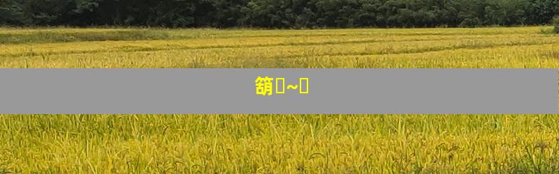 箶̽~Ȫ