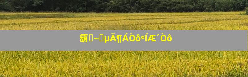 箶̽~ȪµÄ¶ÁÒôºÍÆ´Òô
