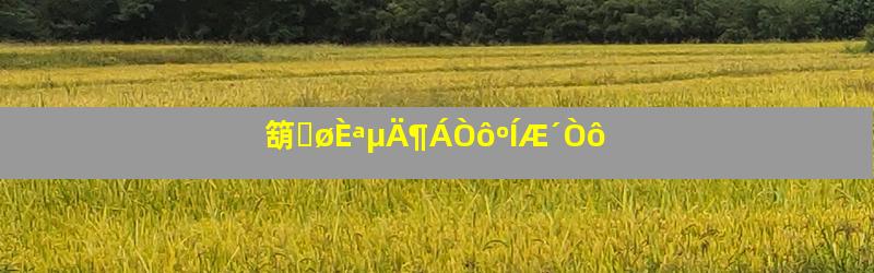 箶̾øÈªµÄ¶ÁÒôºÍÆ´Òô