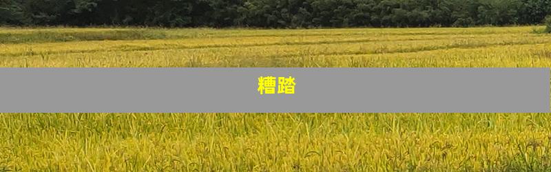 糟踏