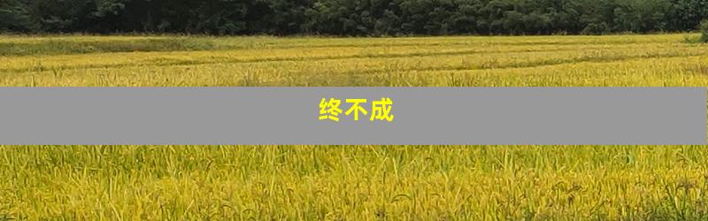 终不成