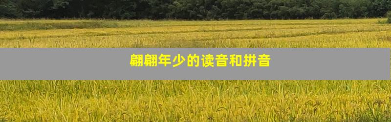 翩翩年少的读音和拼音