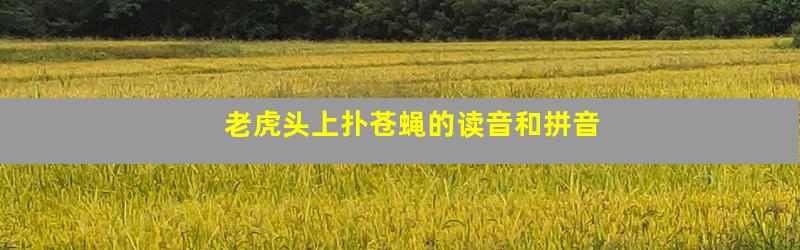 老虎头上扑苍蝇的读音和拼音