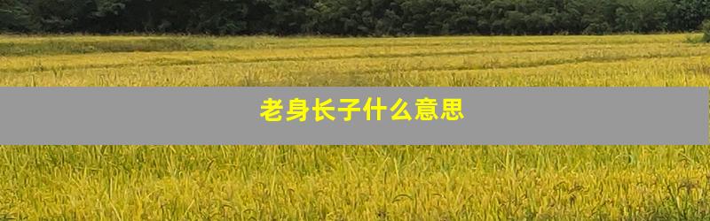 老身长子什么意思