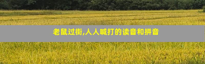老鼠过街,人人喊打的读音和拼音
