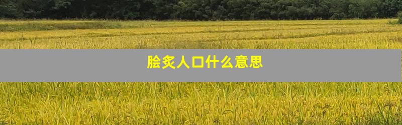 脍炙人口什么意思