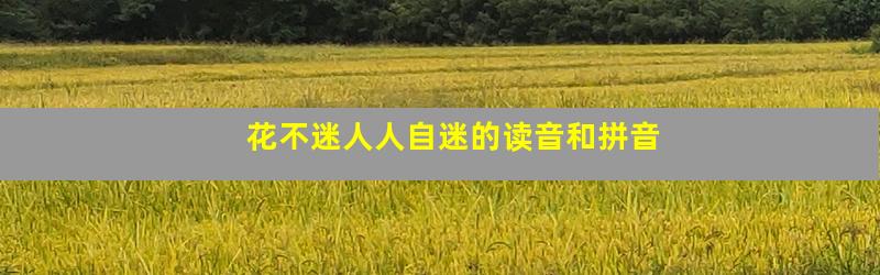 花不迷人人自迷的读音和拼音