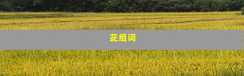 茈组词