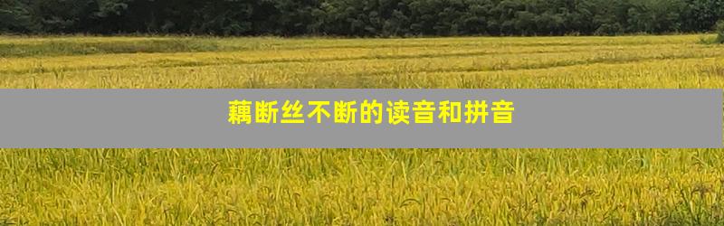 藕断丝不断的读音和拼音