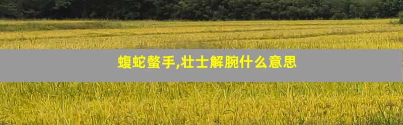 蝮蛇螫手,壮士解腕什么意思