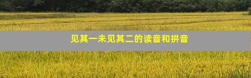 见其一未见其二的读音和拼音