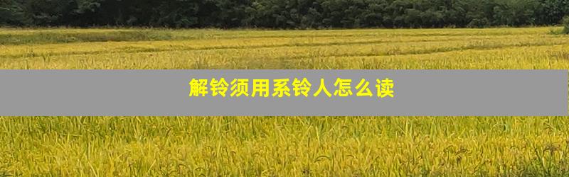 解铃须用系铃人怎么读