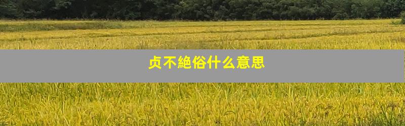 贞不絶俗什么意思