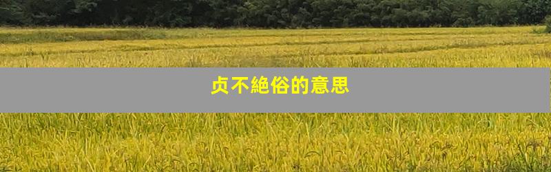 贞不絶俗的意思