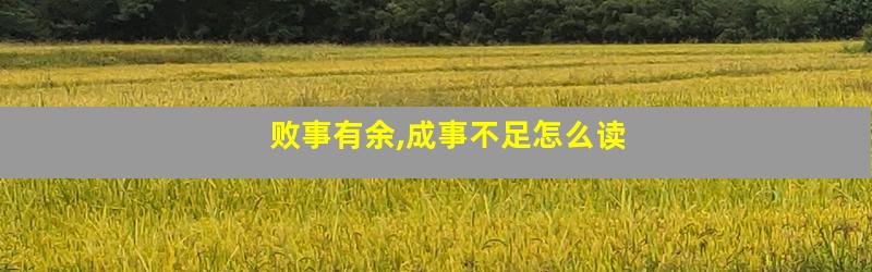 败事有余,成事不足怎么读
